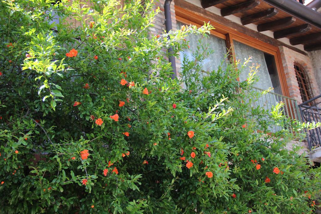 B&B Il Melograno Del Garda Padenghe sul Garda Eksteriør billede