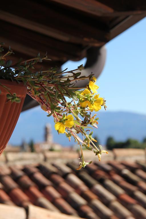 B&B Il Melograno Del Garda Padenghe sul Garda Eksteriør billede